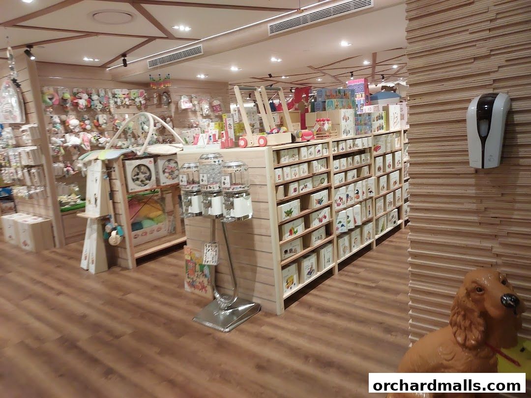 The Better Toy Store, Paragon