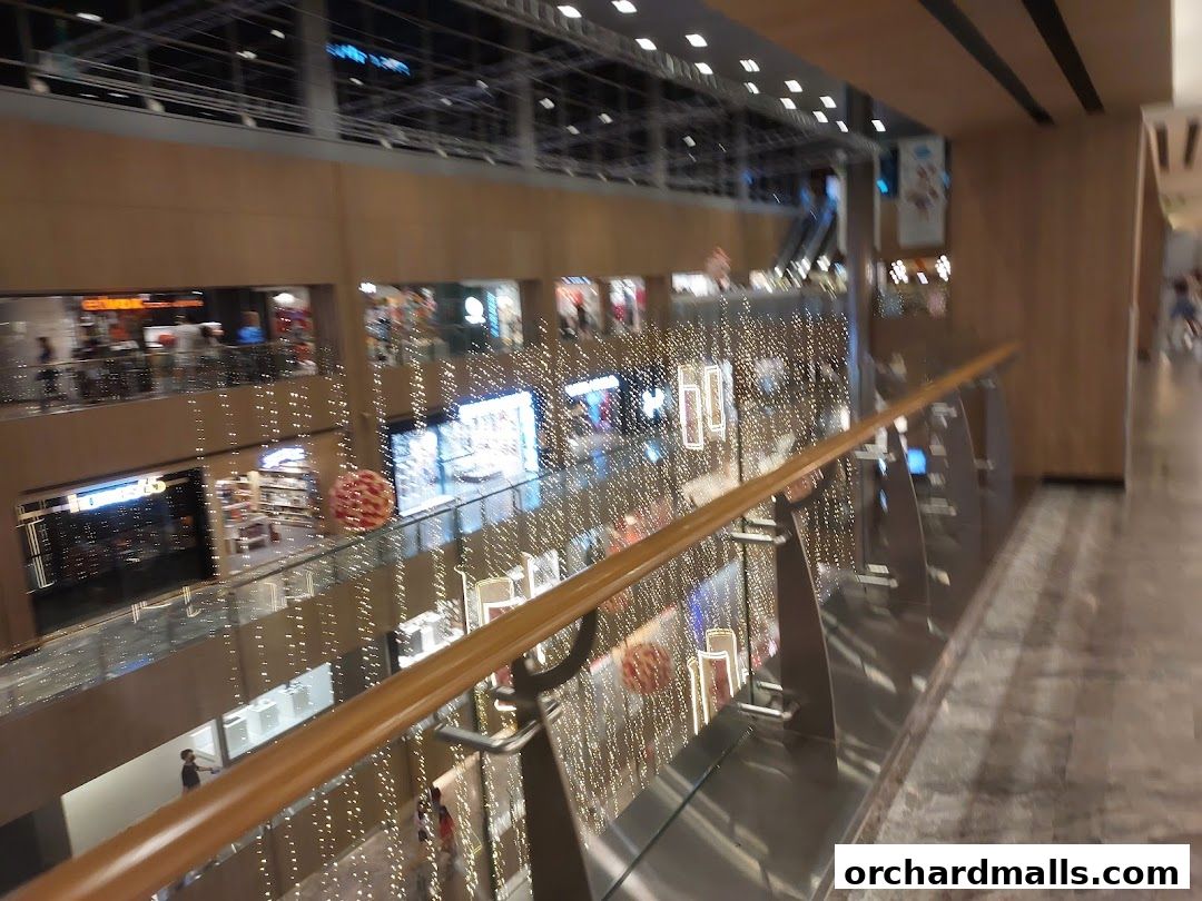 The Better Toy Store, Paragon