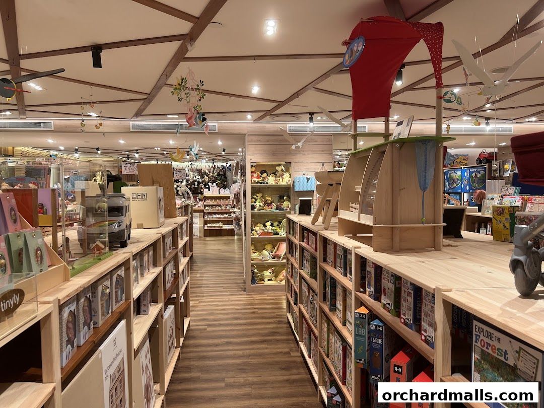 The Better Toy Store, Paragon