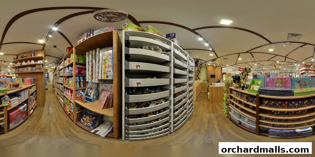 The Better Toy Store, Paragon