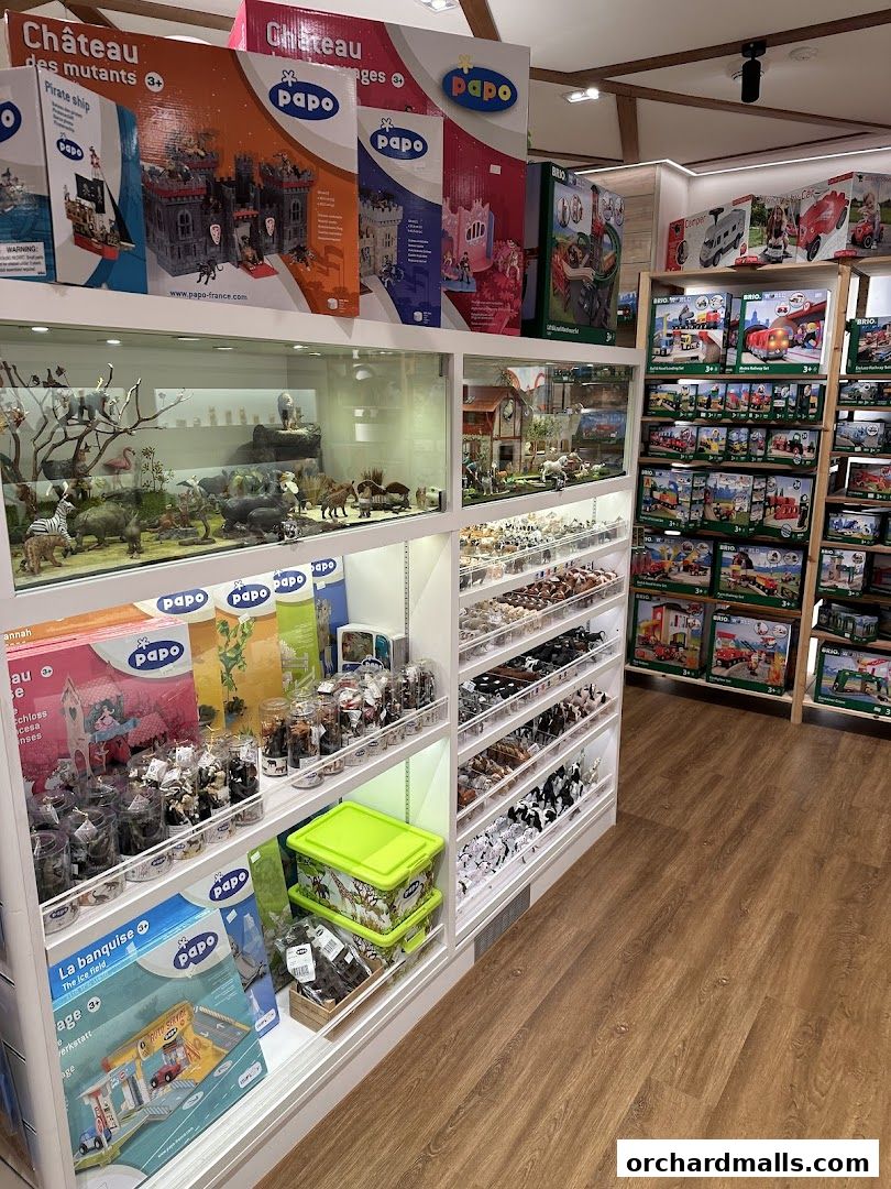 The Better Toy Store, Paragon