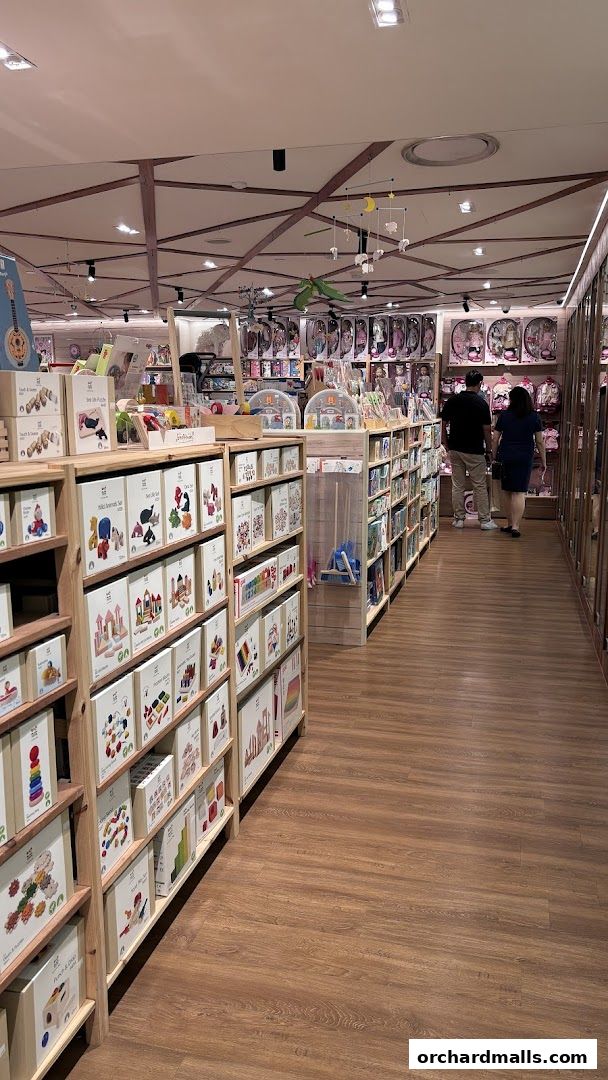 The Better Toy Store, Paragon