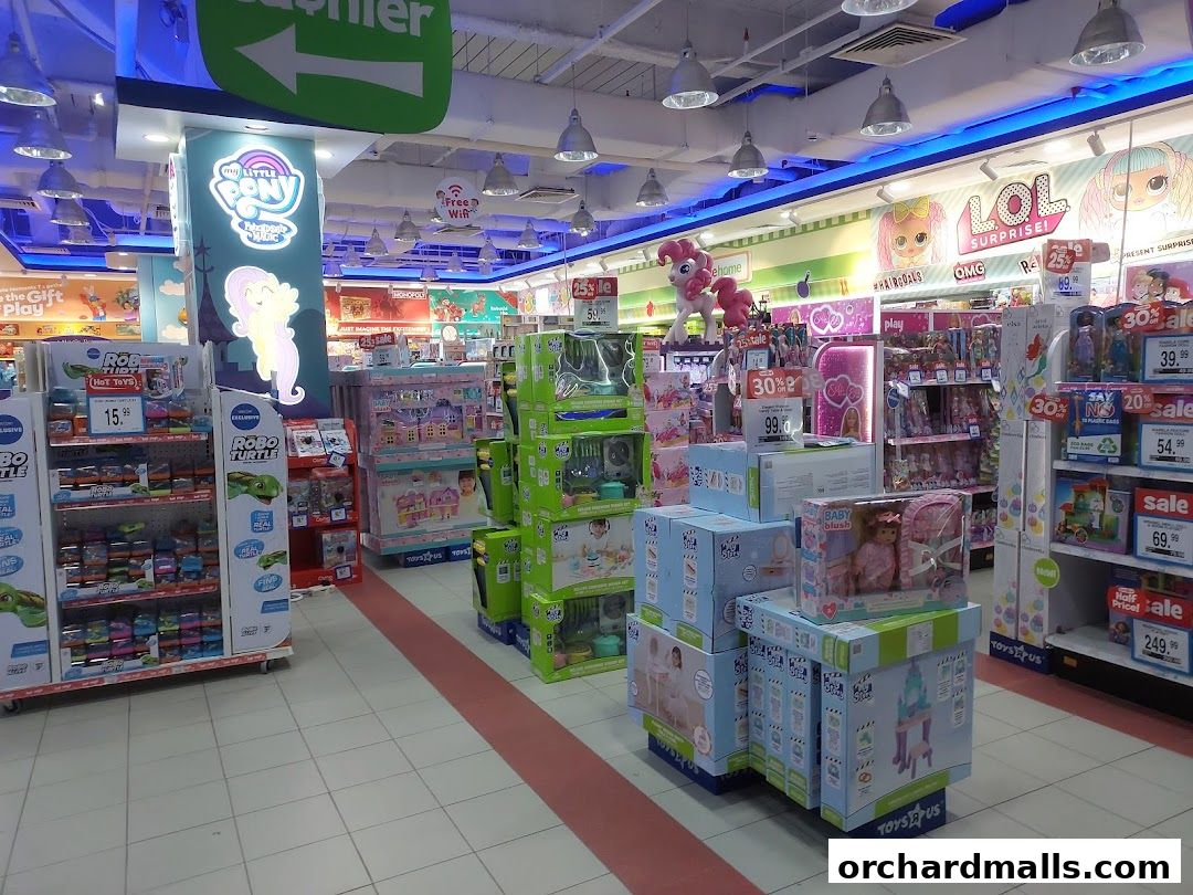 The Better Toy Store, Paragon