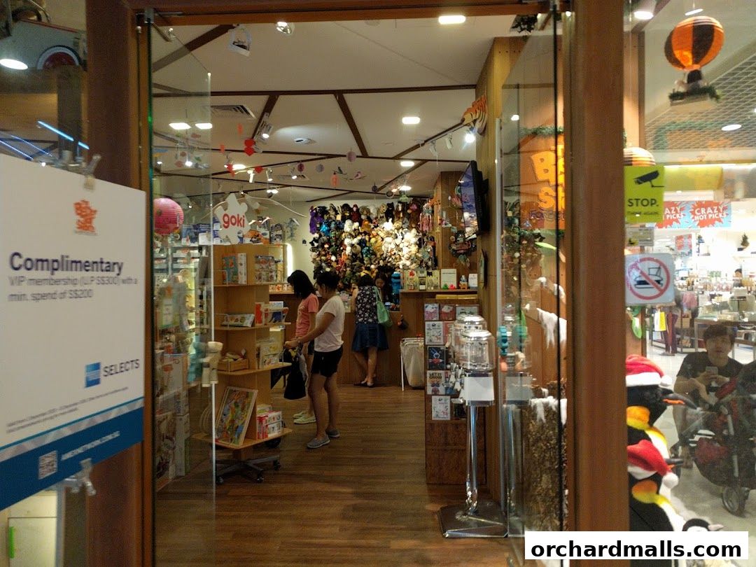 The Better Toy Store, Paragon