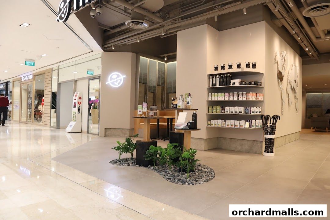 The Coffee Bean  Tea Leaf