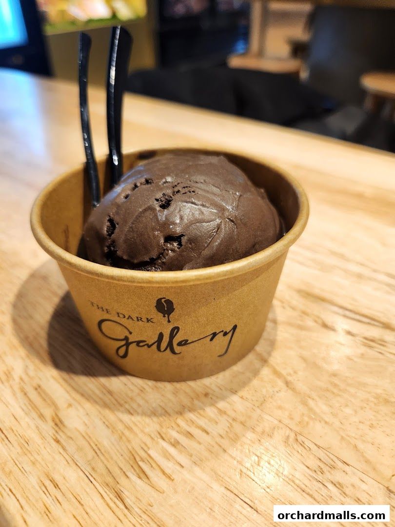 A cup of rich chocolate ice cream with two black spoons from The Dark Gallery.