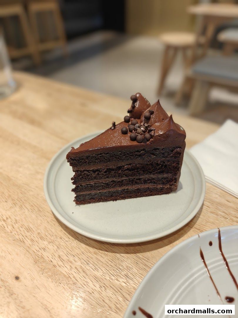 A decadent slice of multi-layered chocolate cake topped with chocolate frosting and sprinkles.