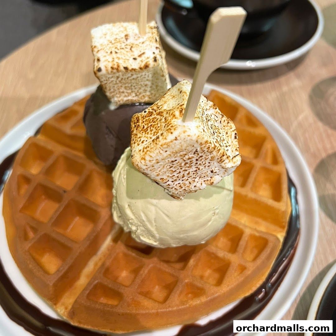 A delicious waffle topped with ice cream, marshmallows, and chocolate sauce.