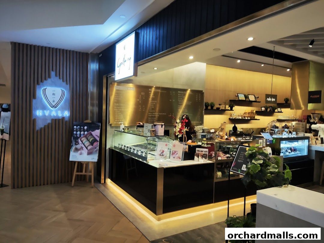 Interior view of a modern dessert shop with display cases and a menu board.