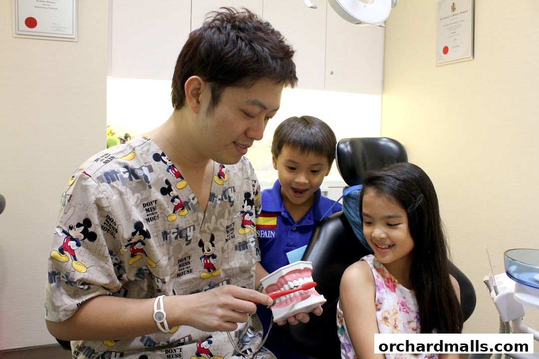 The Dental Studio by SMG  Paragon