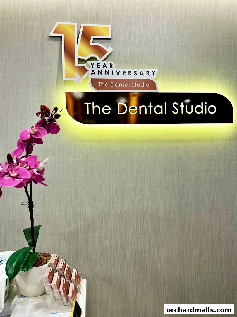 The Dental Studio by SMG  Paragon