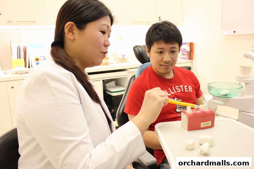 The Dental Studio by SMG  Paragon