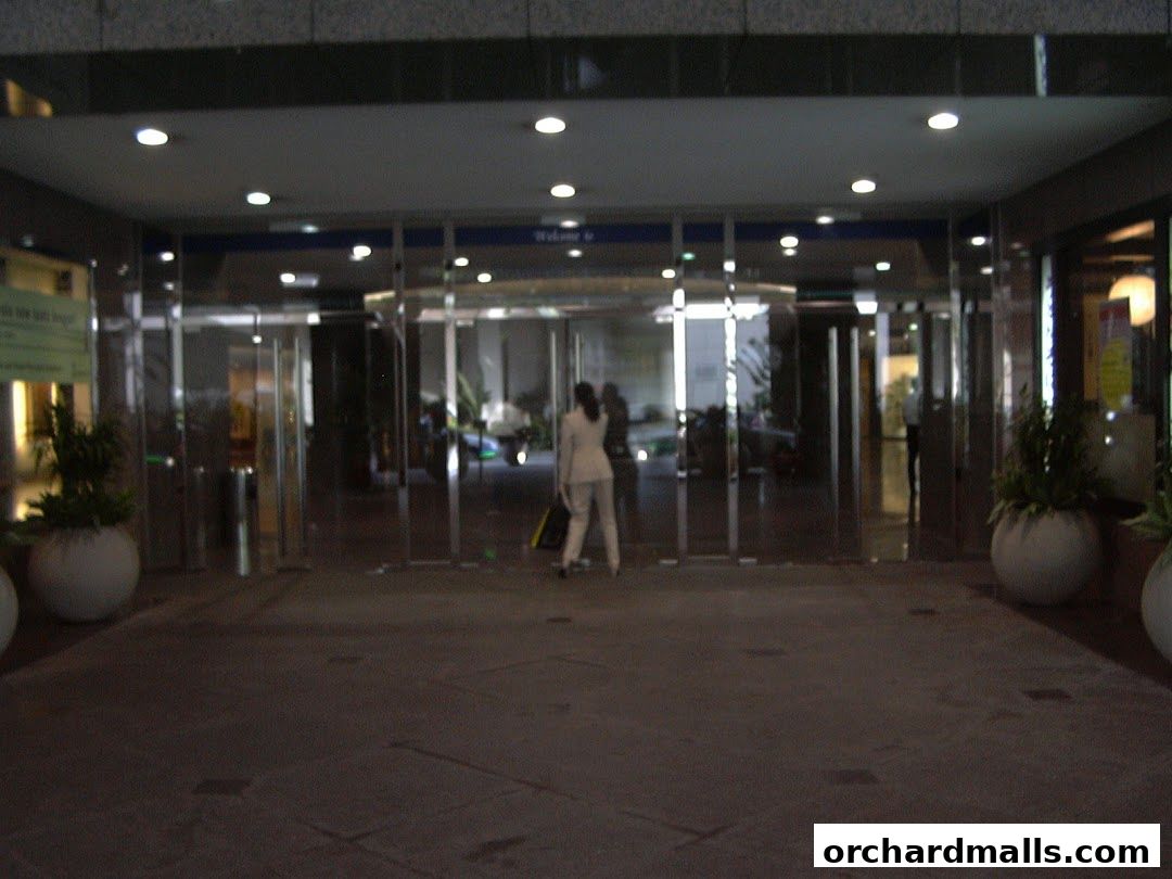 The DentistOrchard Pte Ltd