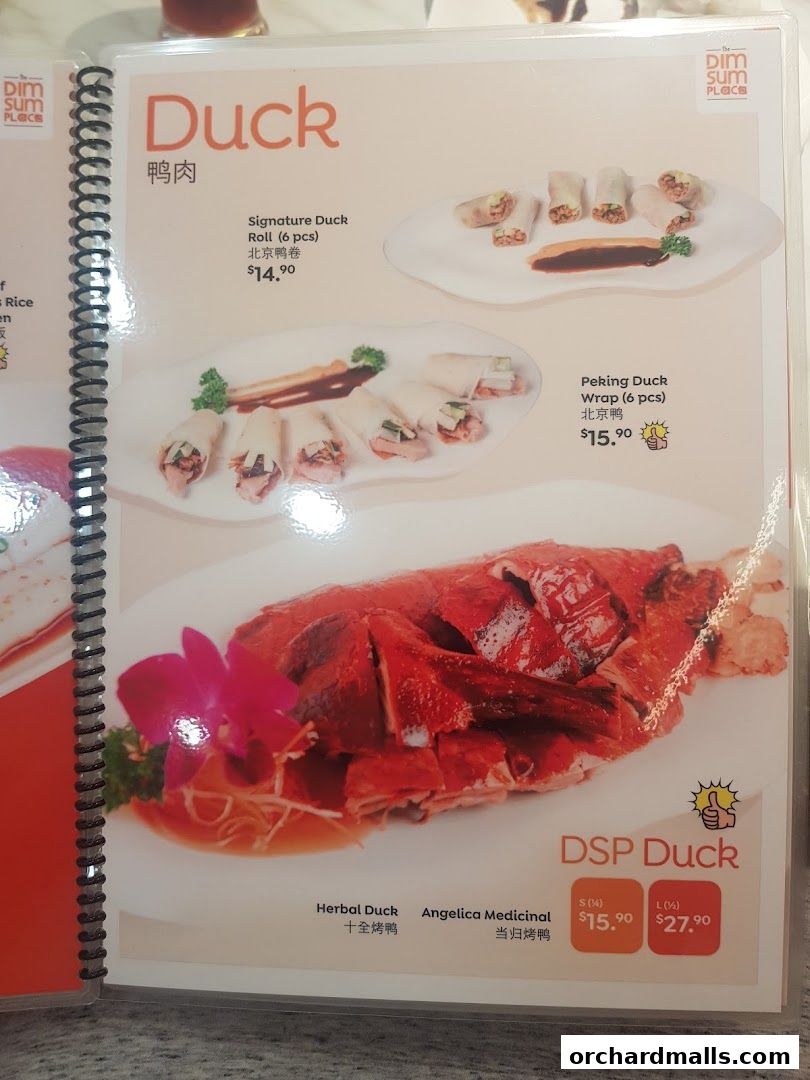 Menu page for The Dim Sum Place  The Centrepoint