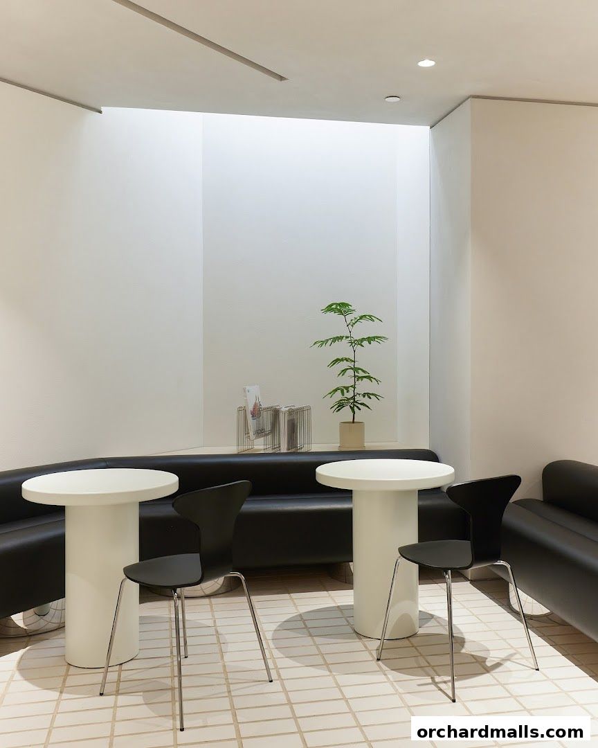 Modern cafe interior with white tables, black chairs, and a plant.