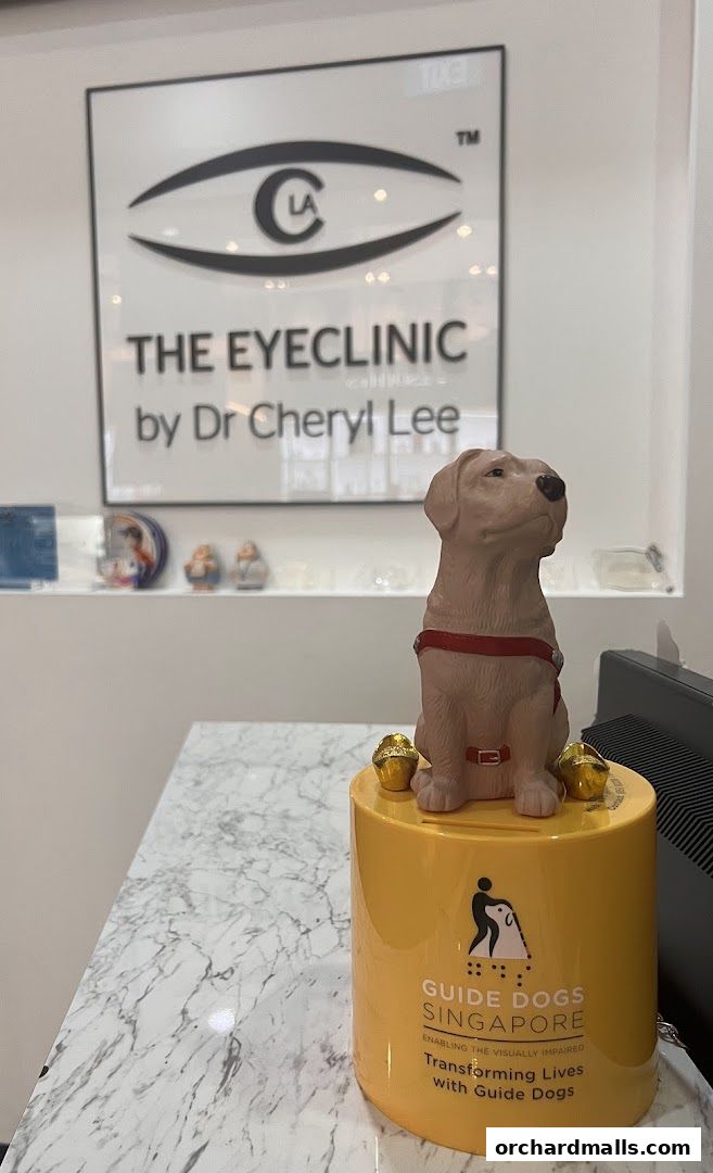 The EyeClinic by Dr Cheryl Lee