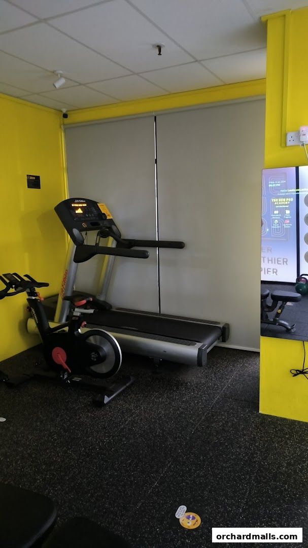 Interior view of a gym with a treadmill, stationary bike, and weights.