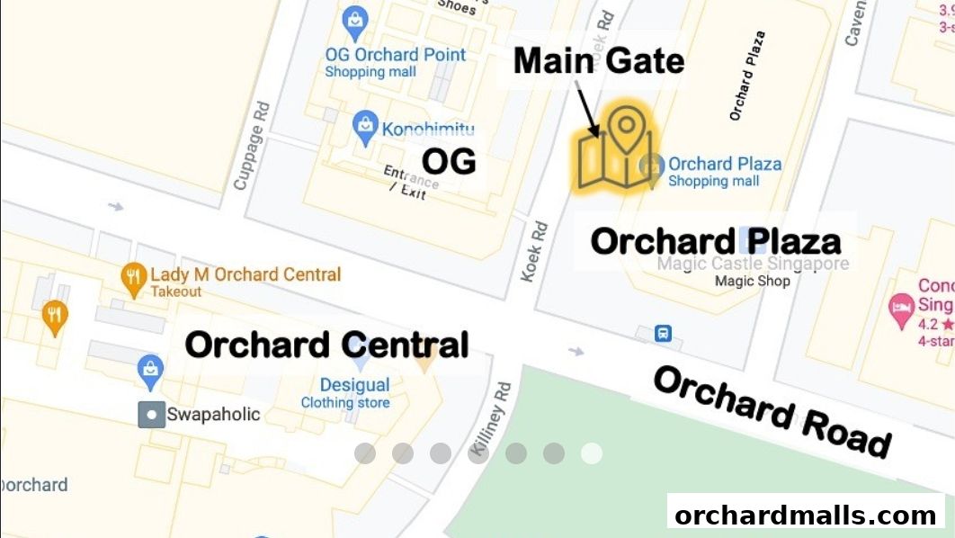 A map showing the location of Orchard Plaza and surrounding shopping areas.