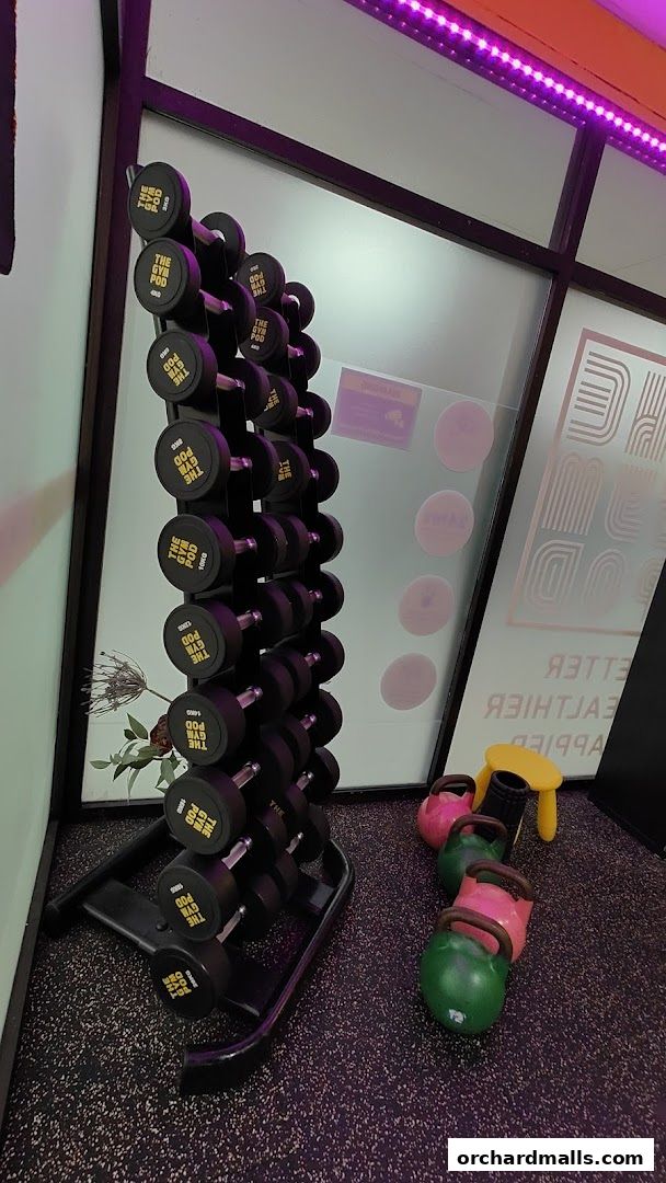 A rack of dumbbells and kettlebells inside a gym.