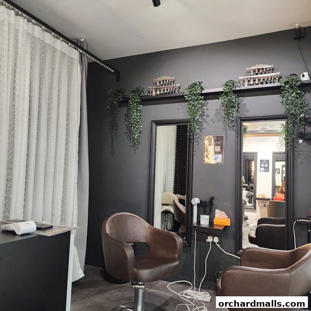 The Head Spa Orchard H99  Singapores 1 Best Head Spa, Hair Wash  Scalp Massage