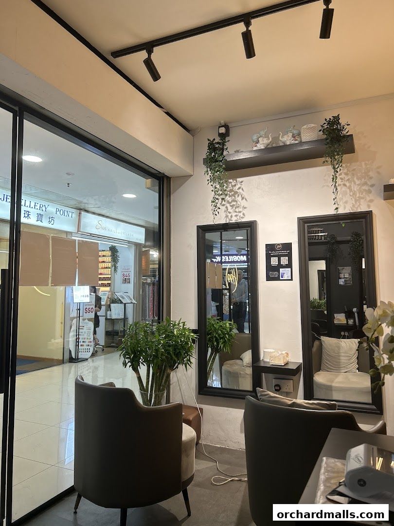 The Head Spa Orchard H99  Singapores 1 Best Head Spa, Hair Wash  Scalp Massage