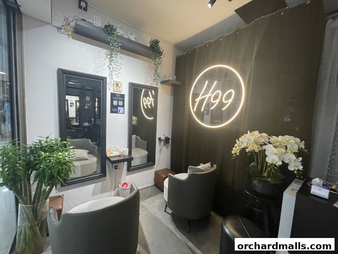 The Head Spa Orchard H99  Singapores 1 Best Head Spa, Hair Wash  Scalp Massage
