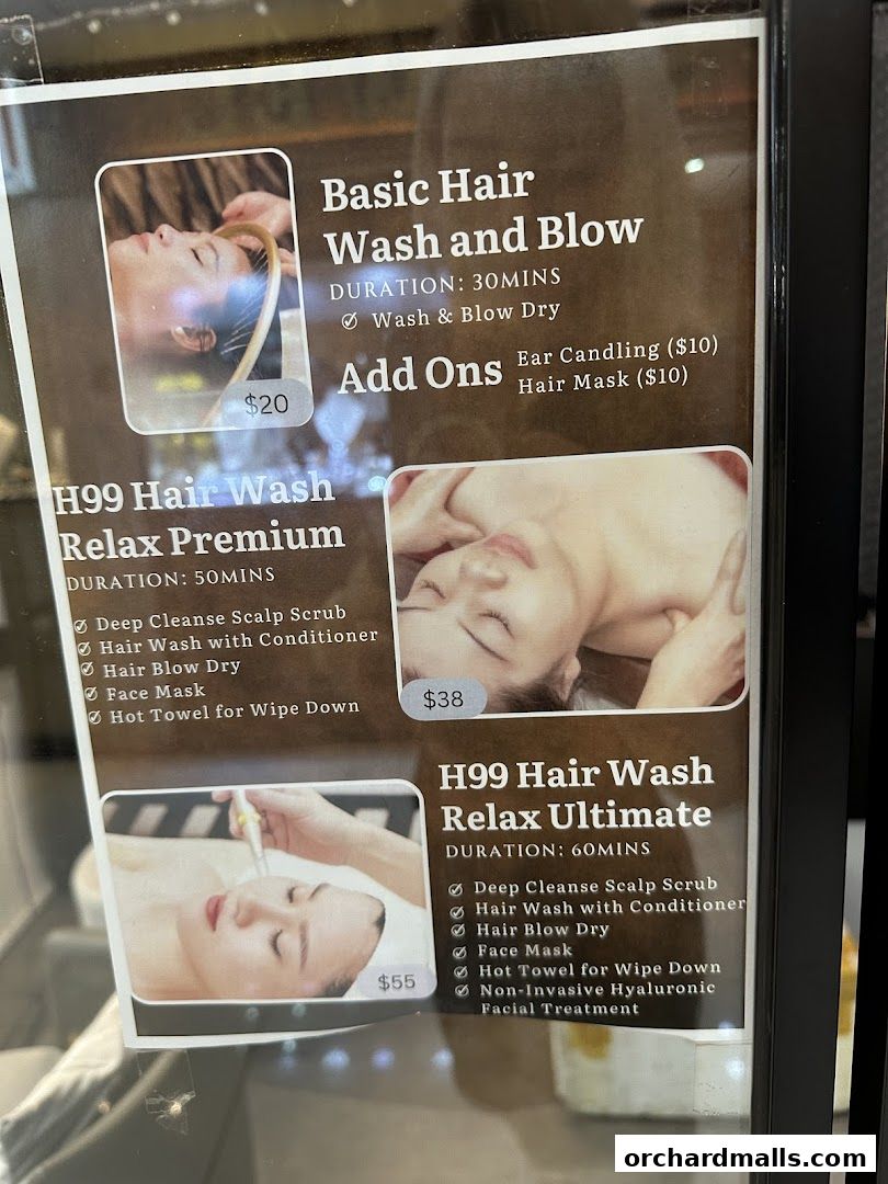 The Head Spa Orchard H99  Singapores 1 Best Head Spa, Hair Wash  Scalp Massage