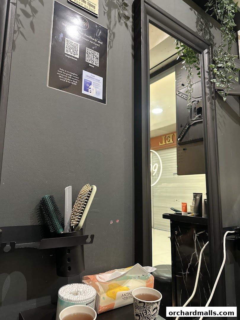 The Head Spa Orchard H99  Singapores 1 Best Head Spa, Hair Wash  Scalp Massage