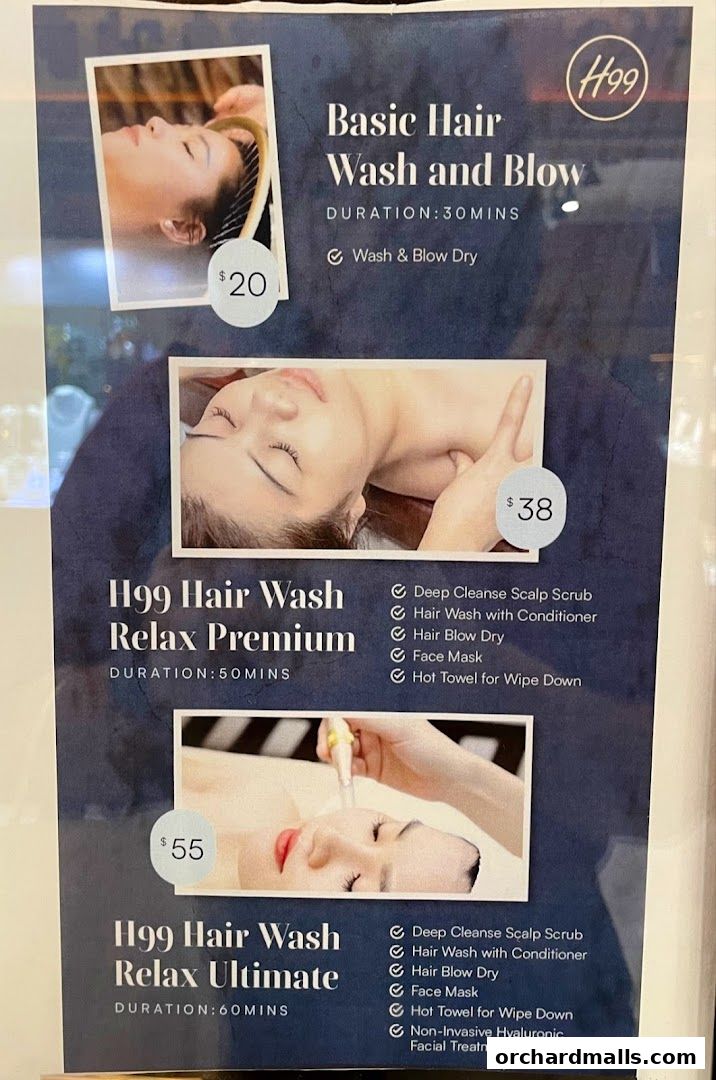 Menu page for The Head Spa Orchard H99  Singapores 1 Best Head Spa, Hair Wash  Scalp Massage