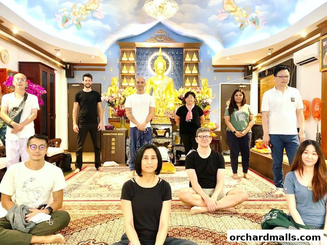 The Hermitage - Zen In The City