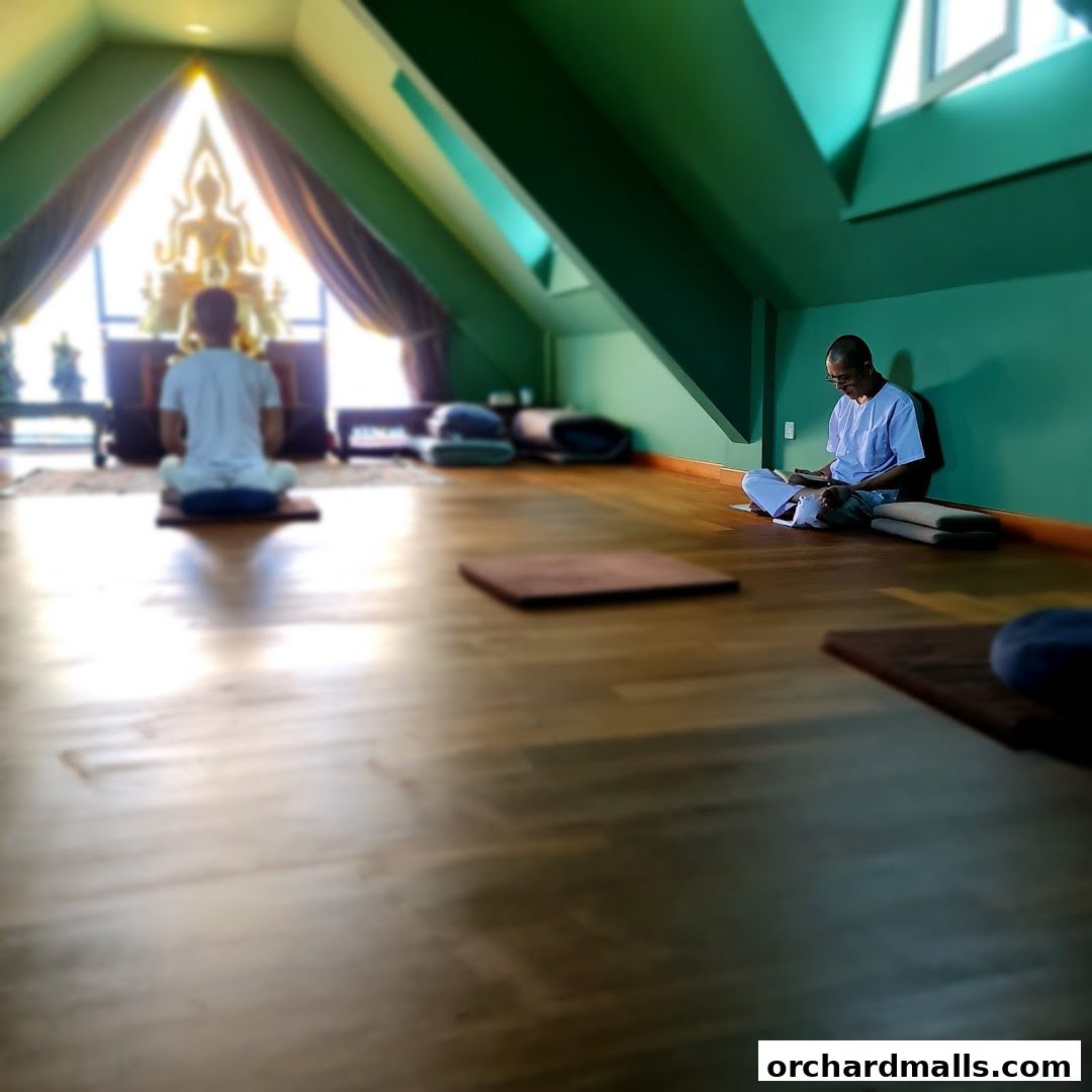 The Hermitage - Zen In The City