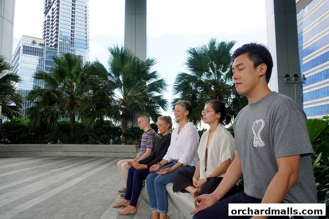 The Hermitage - Zen In The City