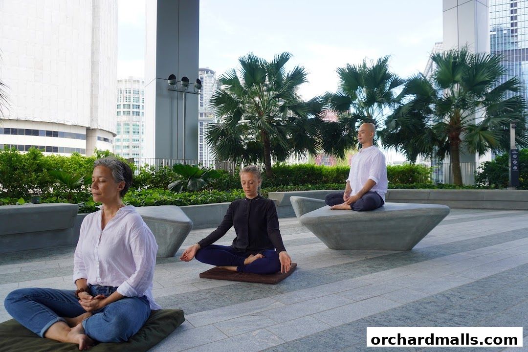 The Hermitage - Zen In The City