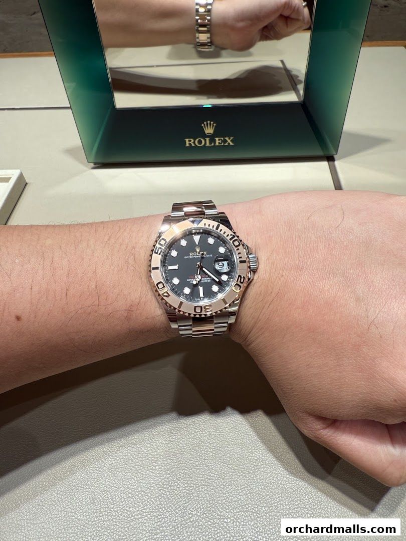 A person wearing a Rolex watch with a rose gold and steel band.