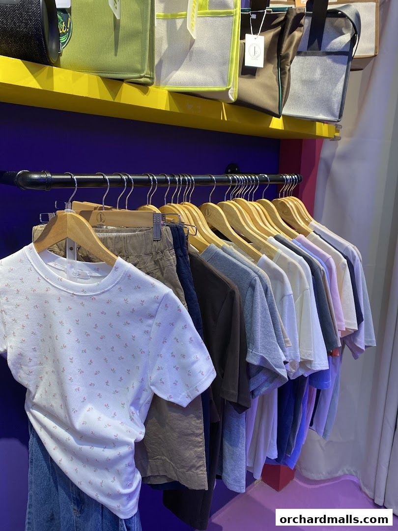 The JeJe Korea Fashion  Lifestyle