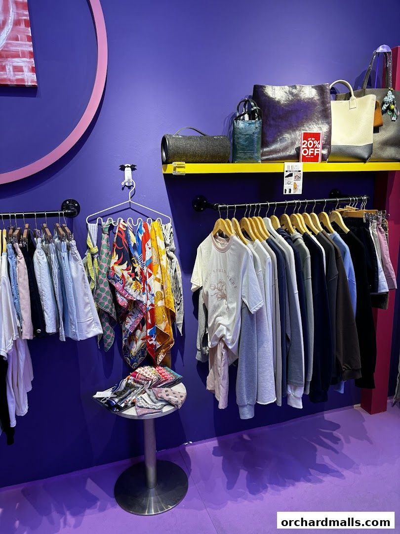 The JeJe Korea Fashion  Lifestyle