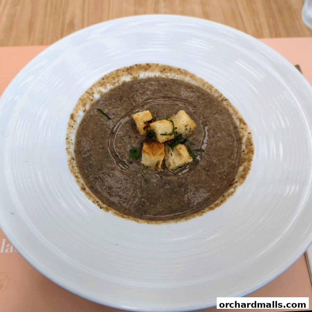 A close-up shot of a bowl of creamy mushroom soup topped with croutons and herbs.