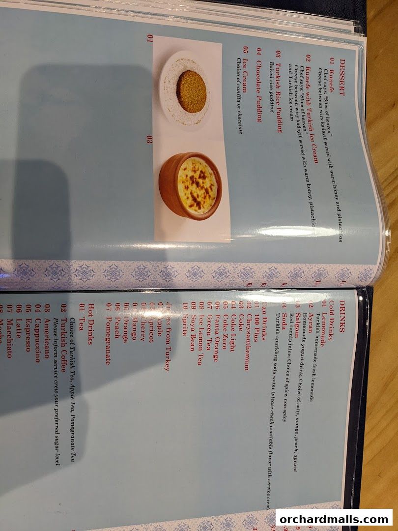 Menu page for The Mediterranean Deli Turk