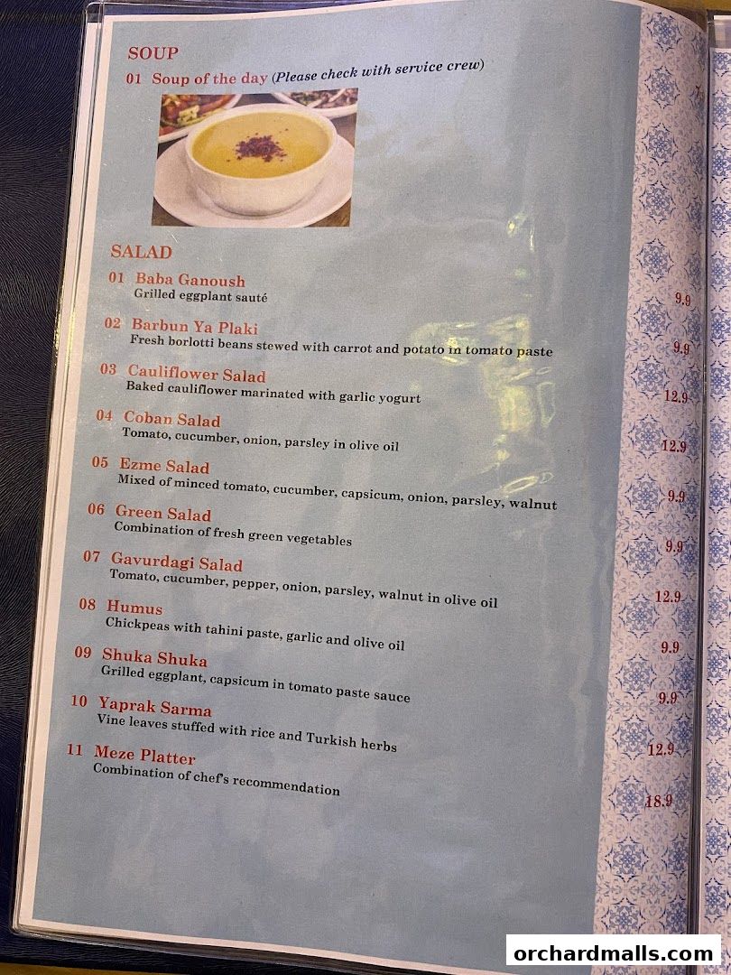 Menu page for The Mediterranean Deli Turk