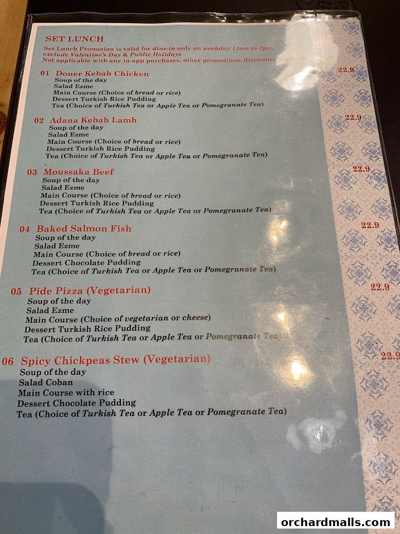 Menu page for The Mediterranean Deli Turk