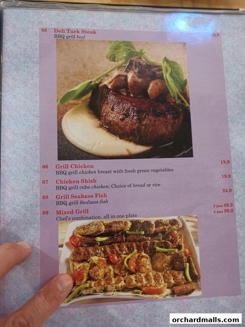 Menu page for The Mediterranean Deli Turk