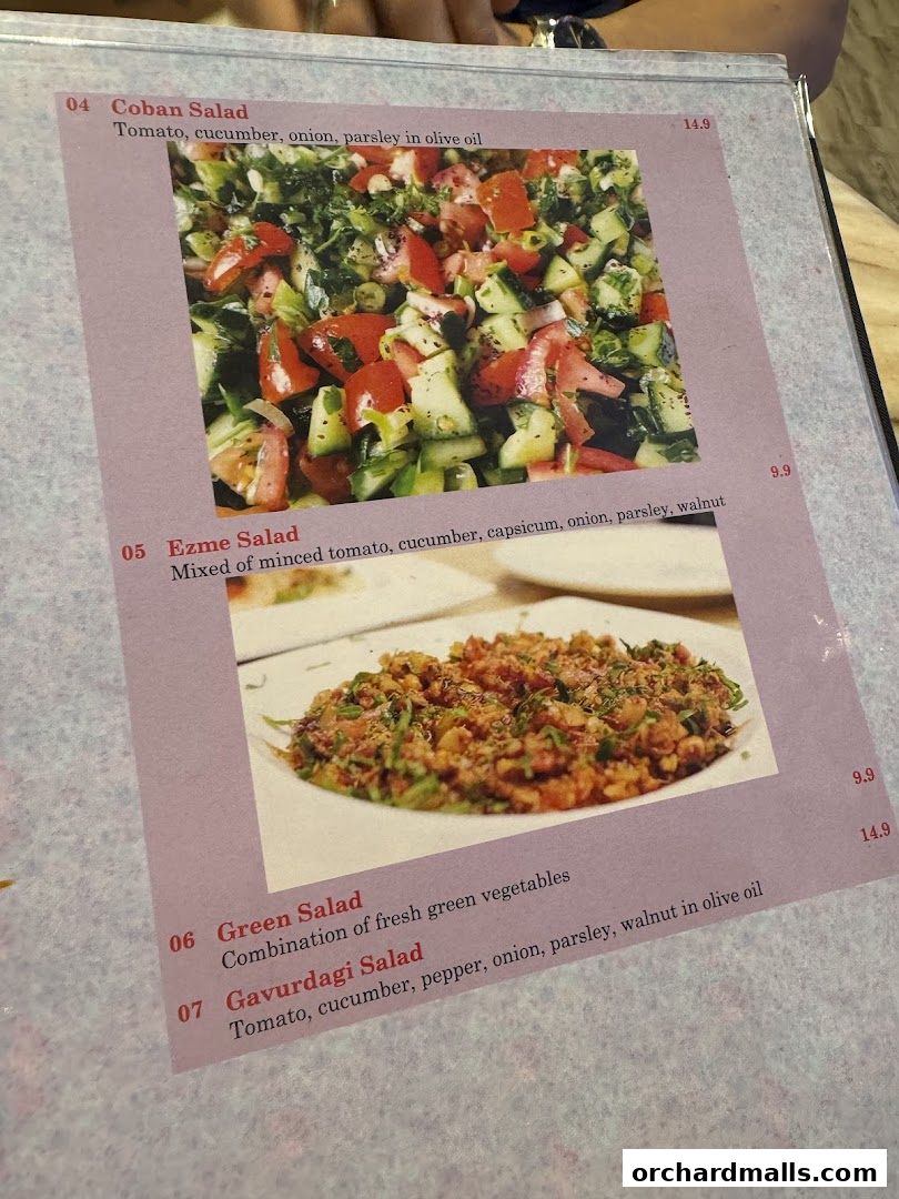 Menu page for The Mediterranean Deli Turk