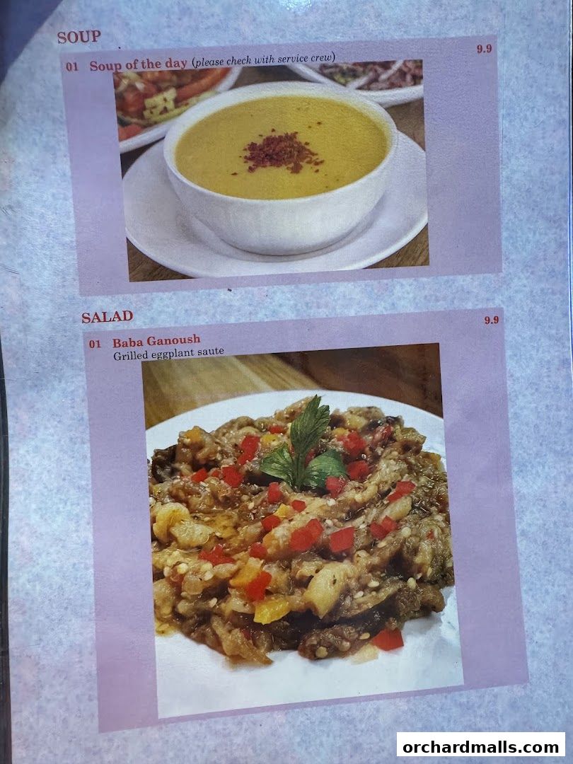 Menu page for The Mediterranean Deli Turk