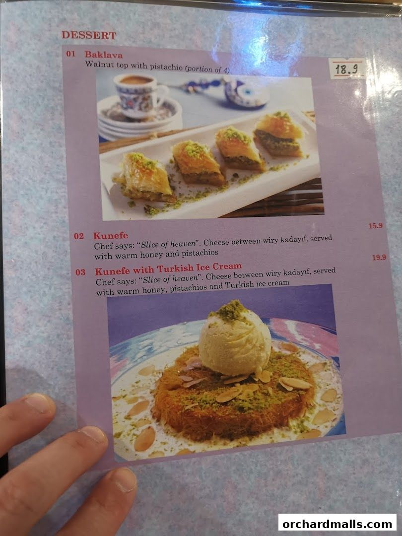 Menu page for The Mediterranean Deli Turk