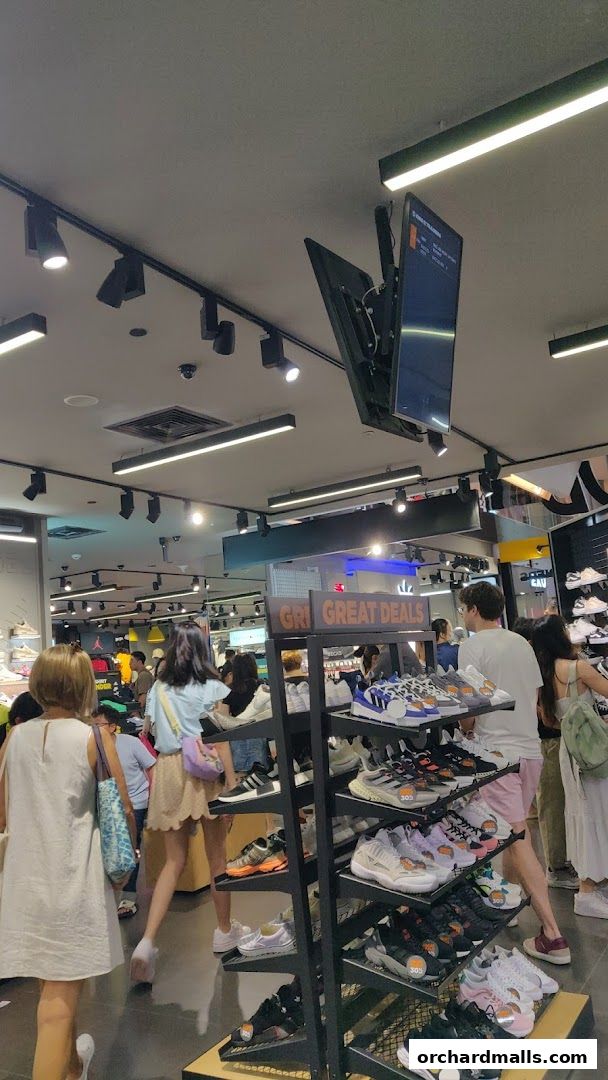 Shoppers browse a wide selection of athletic shoes displayed on shelves in a brightly lit store.
