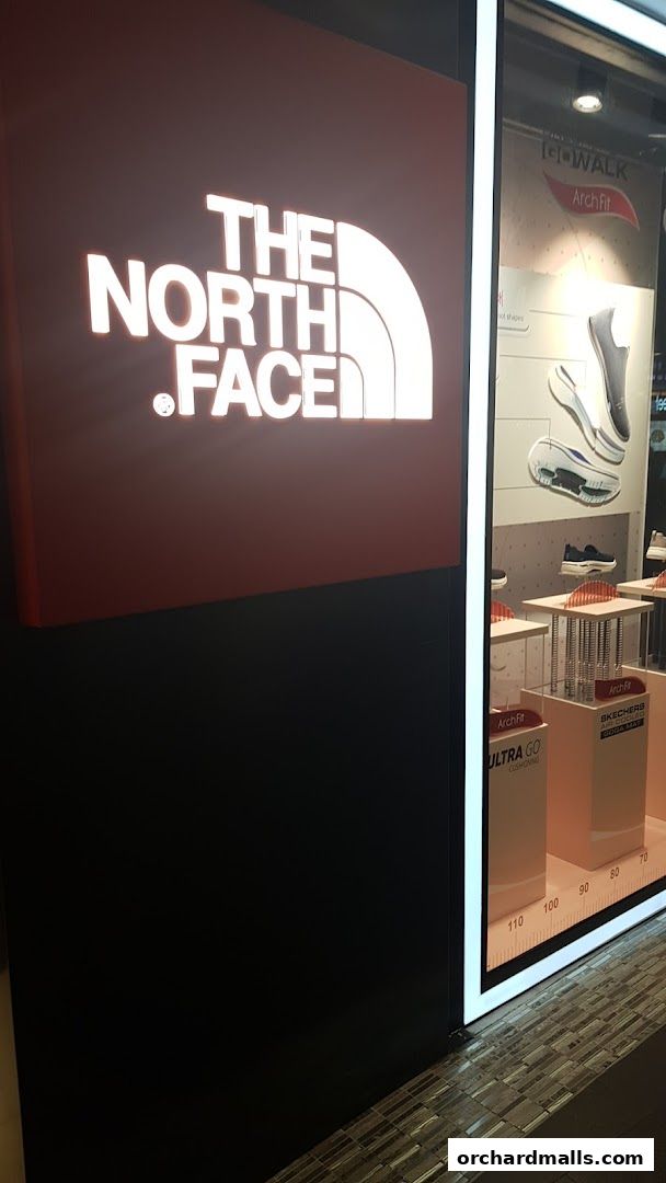 The North Face logo displayed prominently next to a shop window showcasing Skechers shoes.