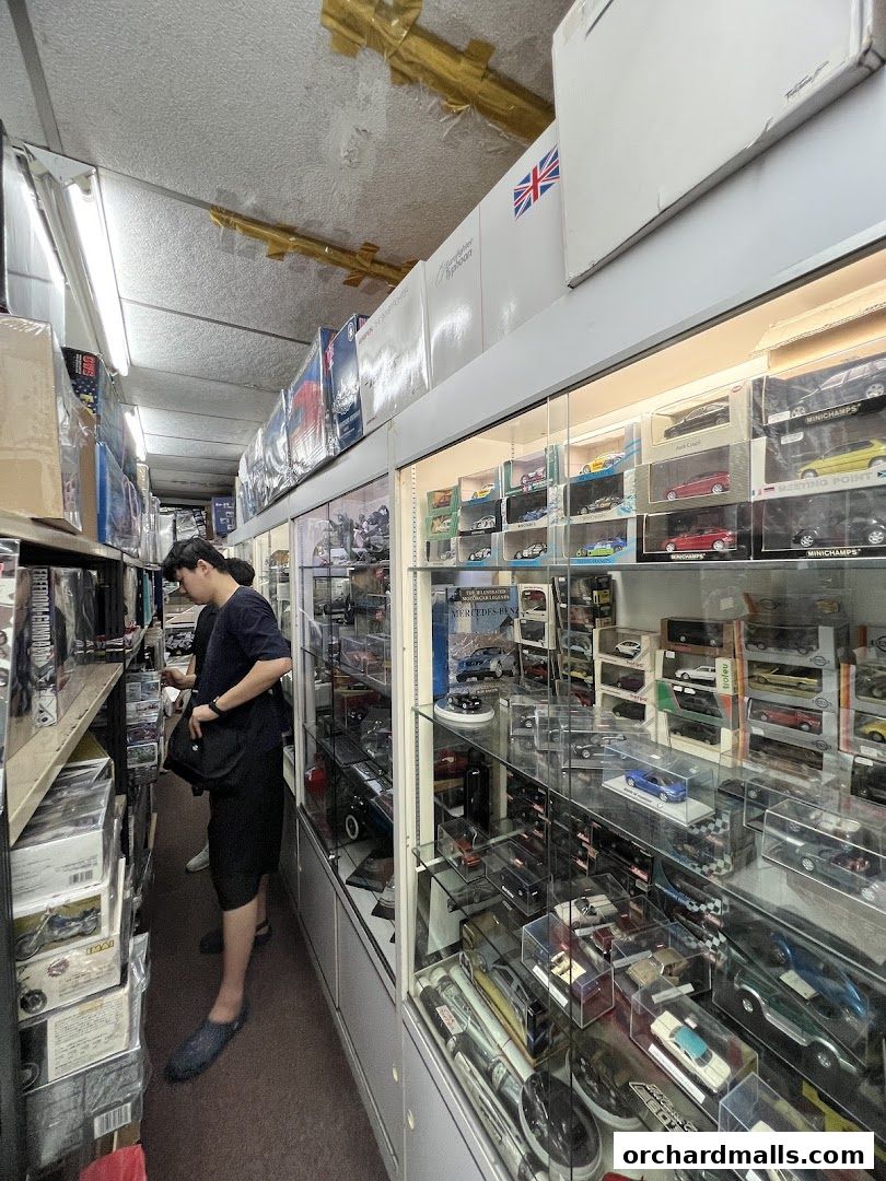 A person browses a shop filled with display cases of model cars and boxes.