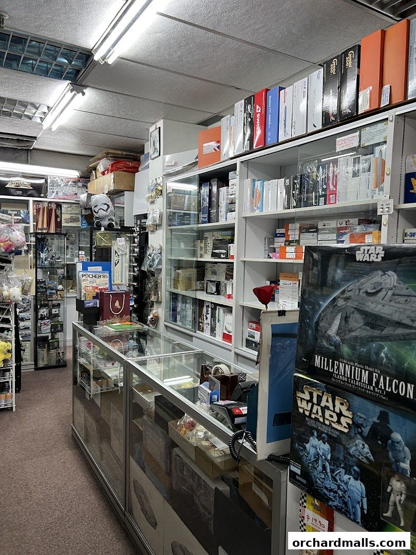Interior view of a hobby shop filled with model kits and collectibles.