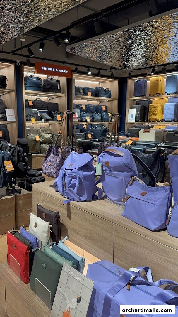 The Planet Traveller