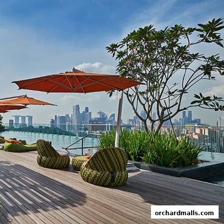 The Ripple Club Orchard